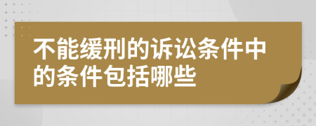 不能缓刑的诉讼条件中的条件包括哪些