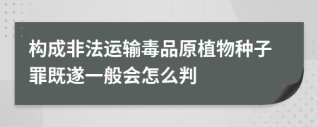 构成非法运输毒品原植物种子罪既遂一般会怎么判