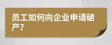 员工如何向企业申请破产？