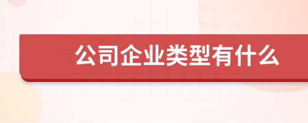 公司企业类型有什么