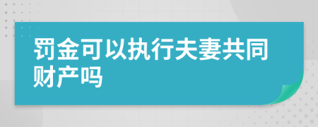 罚金可以执行夫妻共同财产吗