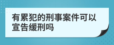 有累犯的刑事案件可以宣告缓刑吗