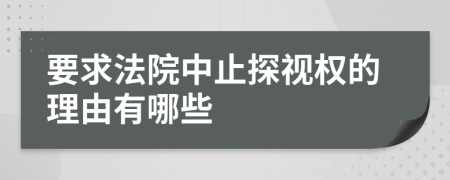 要求法院中止探视权的理由有哪些