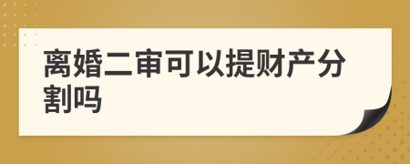 离婚二审可以提财产分割吗