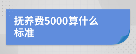 抚养费5000算什么标准