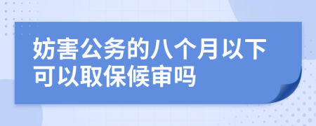 妨害公务的八个月以下可以取保候审吗