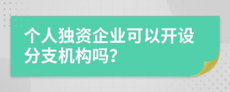 个人独资企业可以开设分支机构吗？