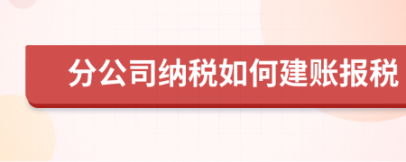 分公司纳税如何建账报税