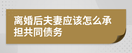 离婚后夫妻应该怎么承担共同债务