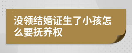 没领结婚证生了小孩怎么要抚养权