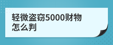 轻微盗窃5000财物怎么判