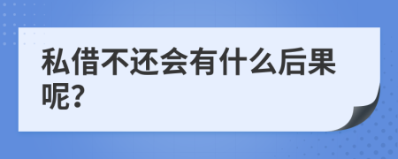 私借不还会有什么后果呢？