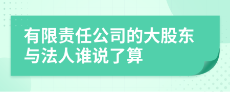 有限责任公司的大股东与法人谁说了算