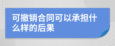 可撤销合同可以承担什么样的后果