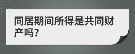 同居期间所得是共同财产吗？