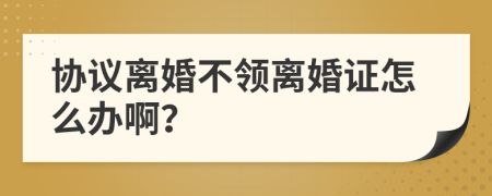 协议离婚不领离婚证怎么办啊？