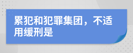 累犯和犯罪集团，不适用缓刑是