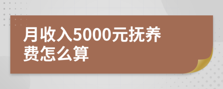 月收入5000元抚养费怎么算