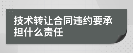 技术转让合同违约要承担什么责任