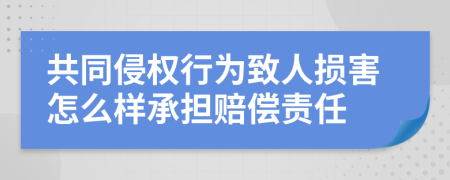 共同侵权行为致人损害怎么样承担赔偿责任