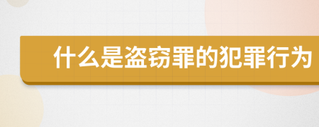 什么是盗窃罪的犯罪行为