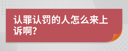 认罪认罚的人怎么来上诉啊？