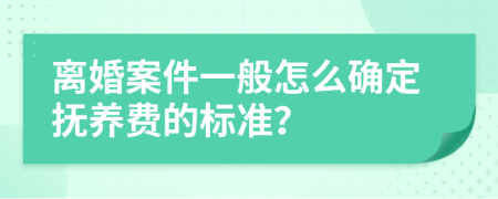 离婚案件一般怎么确定抚养费的标准？