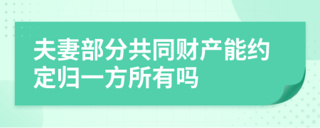 夫妻部分共同财产能约定归一方所有吗