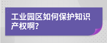 工业园区如何保护知识产权啊？