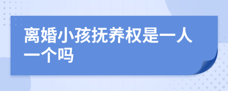 离婚小孩抚养权是一人一个吗