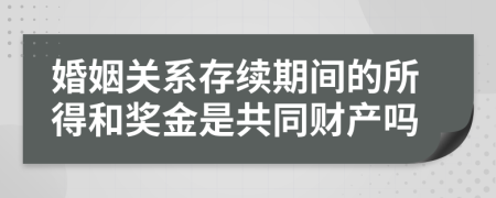婚姻关系存续期间的所得和奖金是共同财产吗
