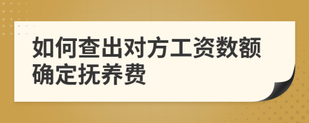 如何查出对方工资数额确定抚养费