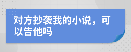 对方抄袭我的小说，可以告他吗