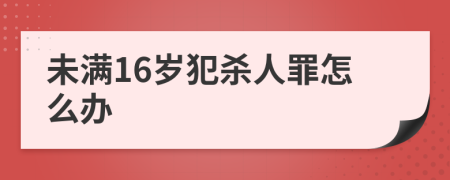 未满16岁犯杀人罪怎么办