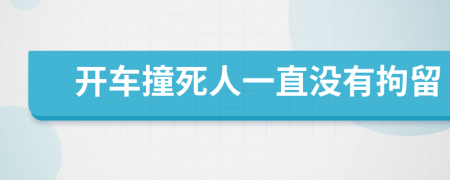 开车撞死人一直没有拘留