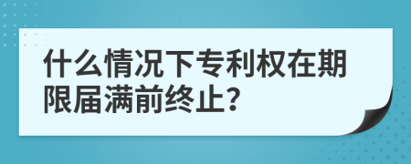 什么情况下专利权在期限届满前终止？