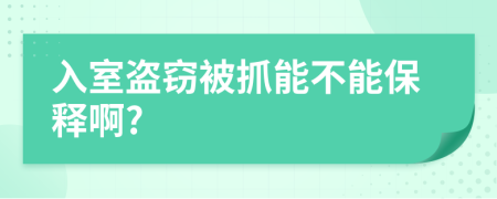 入室盗窃被抓能不能保释啊?