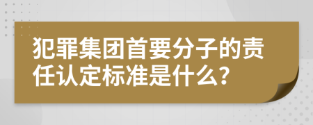 犯罪集团首要分子的责任认定标准是什么？