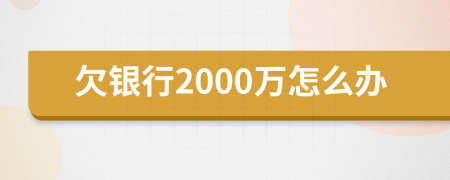 欠银行2000万怎么办