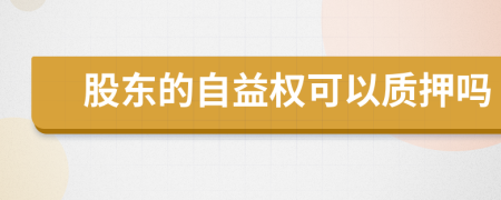 股东的自益权可以质押吗