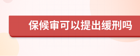 保候审可以提出缓刑吗