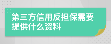 第三方信用反担保需要提供什么资料