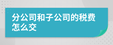 分公司和子公司的税费怎么交
