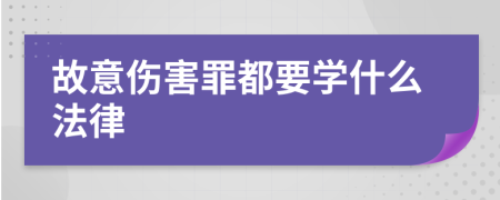 故意伤害罪都要学什么法律