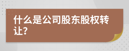 什么是公司股东股权转让？