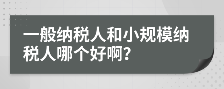 一般纳税人和小规模纳税人哪个好啊？