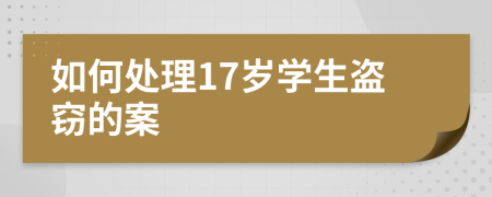 如何处理17岁学生盗窃的案