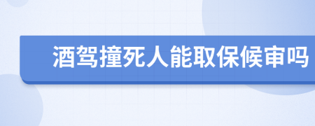 酒驾撞死人能取保候审吗