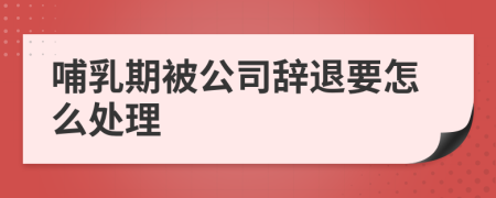 哺乳期被公司辞退要怎么处理