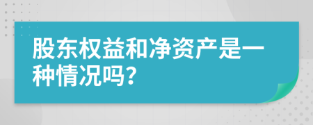 股东权益和净资产是一种情况吗？